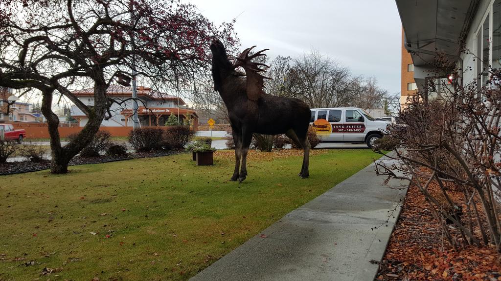 Lakeshore Inn & Suites Anchorage Exterior foto